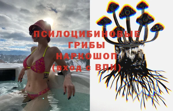 спайс Майский