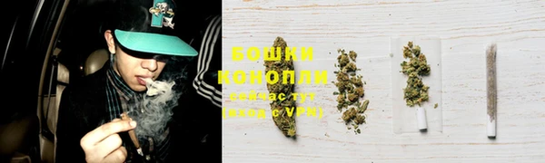 шишки Лиски