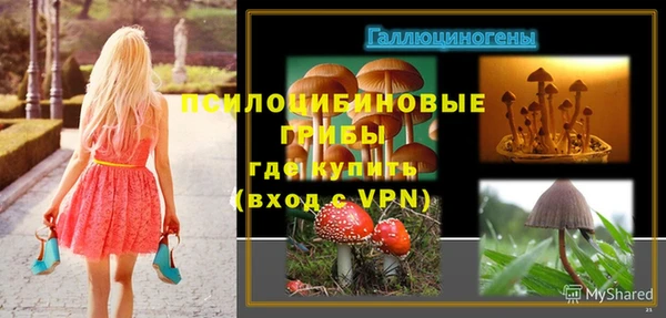 ГАЛЛЮЦИНОГЕННЫЕ ГРИБЫ Иннополис