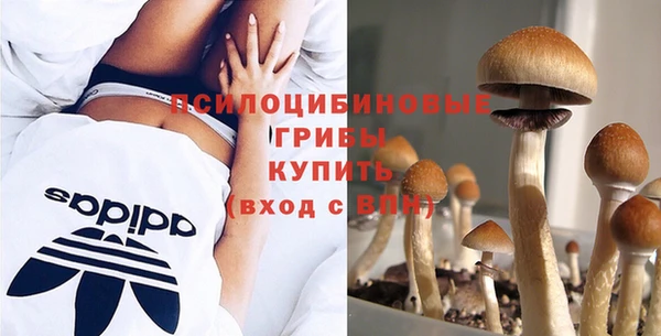 спайс Майский