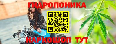 spice Канаш