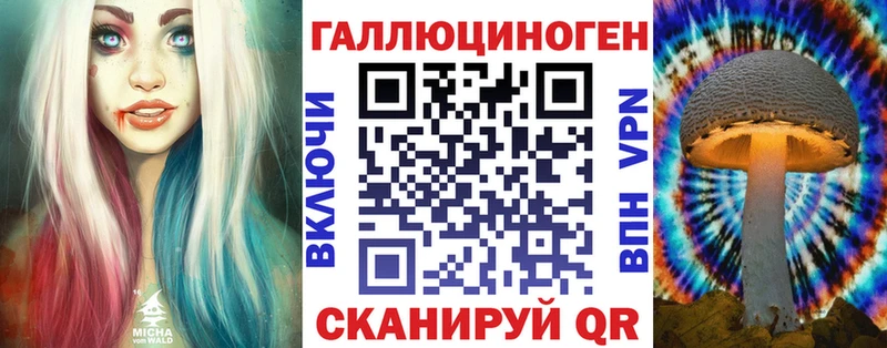 Галлюциногенные грибы Psilocybine cubensis  OMG ссылка  Партизанск 