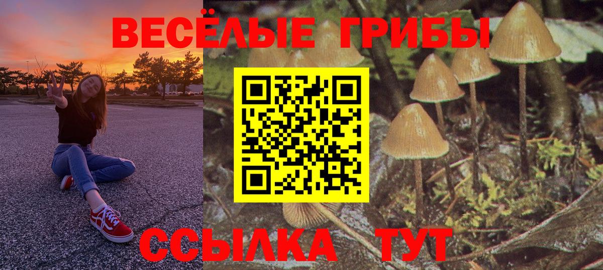 Псилоцибиновые грибы GOLDEN TEACHER Партизанск